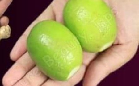 Boost Your Health with Ginger and Lime