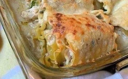 Creamy Chicken Alfredo Lasagna Roll-Ups