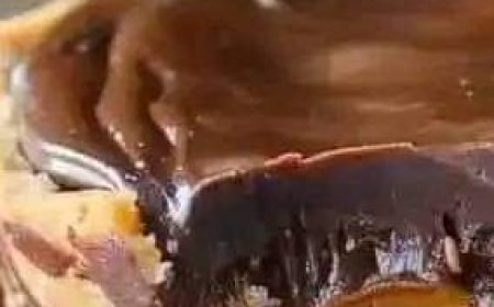 No-Bake Chocolate Peanut Butter Cups