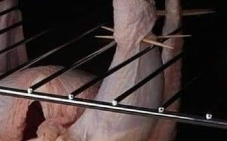 Italian Chicken Rice Casserole