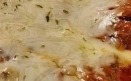 Best Mexican Taco Lasagna