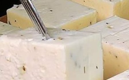 Homemade Cheese Recipe