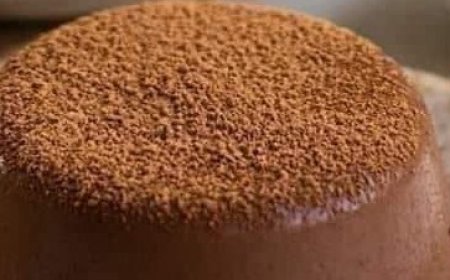 Chocolate Panna Cotta
