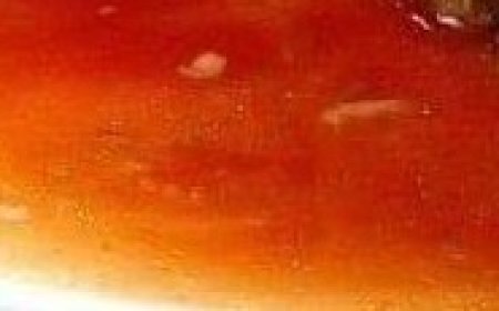 Stuffed Cabbages Rolls