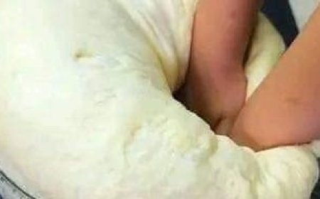 Make Bread Without Kneading