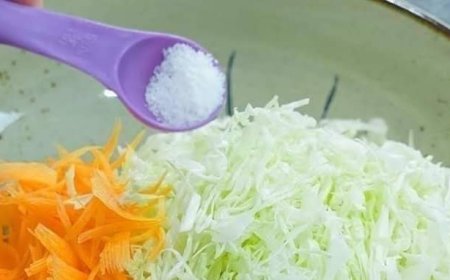 Cabbage with Carrots tastes better than meat