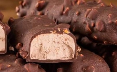 Decadent Frozen Chocolate Bars with Peanut