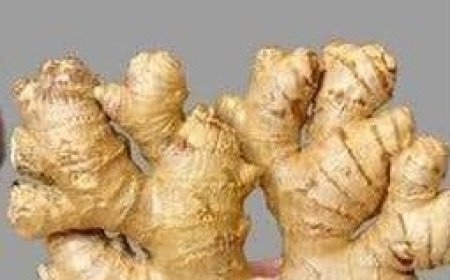 Boost Your Wellness with This Pineapple Ginger Shot Recipe