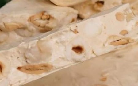 Homemade Nutty Nougat with Honey and Roasted Nuts