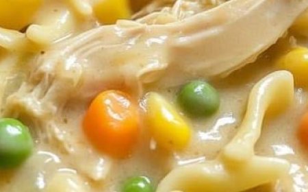Comforting Chicken & Noodles Crock Pot