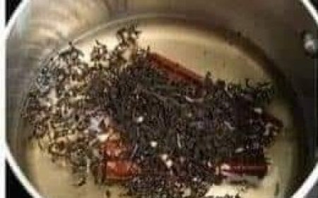 Discover the Delights of Daily Cinnamon Tea