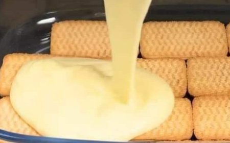 No-Bake Chocolate Custard Delight