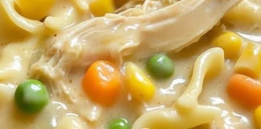 Comforting Chicken & Noodles Crock Pot