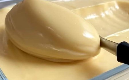 Homemade vanilla pudding, pastry cream