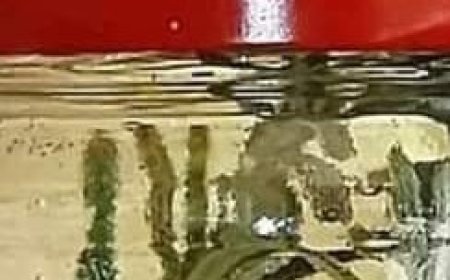 This Liquid Cleans Blood Vessels, and Cholesterol is as if it Never Existed: Rosemary Tea