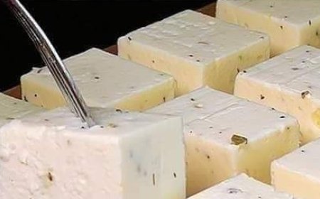Homemade Cheese Recipe