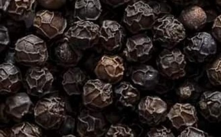 Black Pepper: The Simple Substance That Gets Rid of Mice & Rats in Seconds