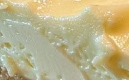 IT IS SO DELICIOUS, MY KIDS JUST EAT IT UP. This recipe is an all-time favorite with my family and will be with yours, too