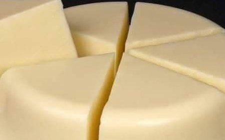 Homemade Cheese Block