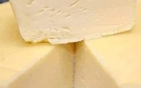 Homemade Cheese Recipe