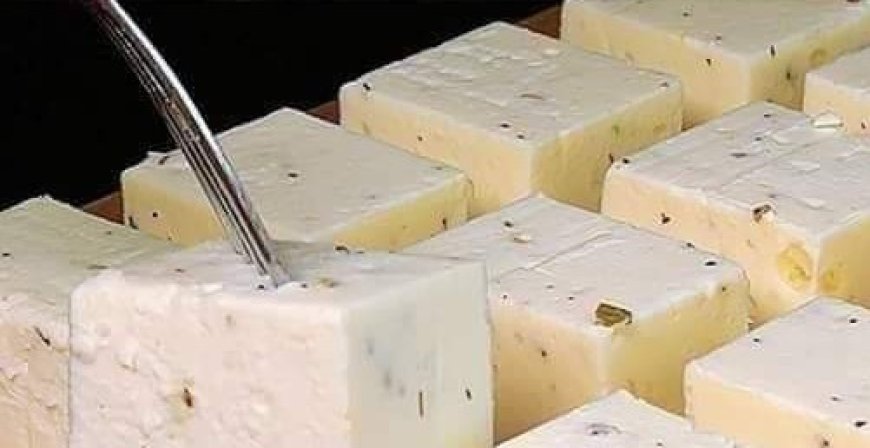 Homemade Cheese Recipe