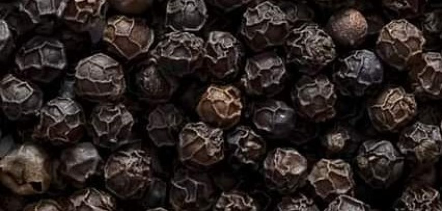 Black Pepper: The Simple Substance That Gets Rid of Mice & Rats in Seconds