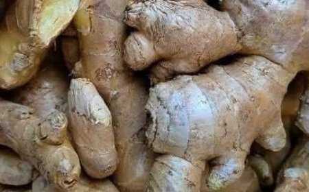 Ginger Magic: A Recipe for Revitalizing Your Intestines and Liver