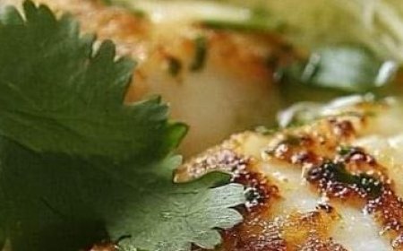 Coconut Lime Fish Soup with Cilantro