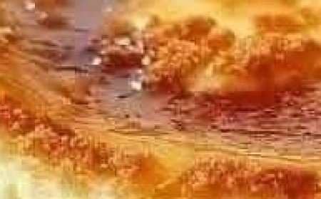 Creamy Caramel Cheesecake Delight: The Ultimate Indulgence