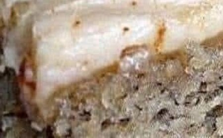 Banana Bread Brownies