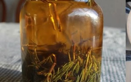 Unlock the Power of Rosemary: DIY Memory-Boosting Elixir