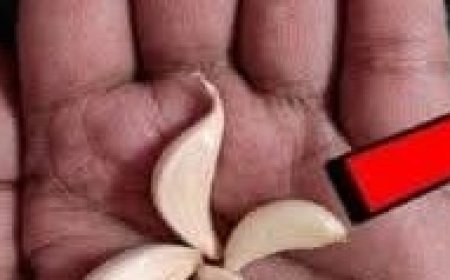 Why Garlic Is Most Important for Teeth Whitening