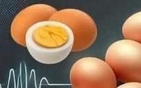 Never Eat Egg with “This” Cause Cancer and Dementia! 3 Best & Worst Food Recipe