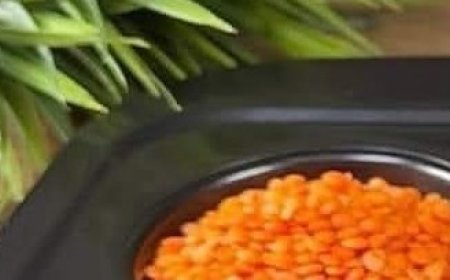Red Lentils: A Delicious Way to Help Manage Blood Sugar