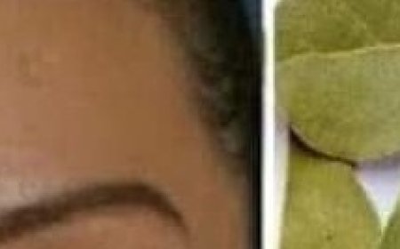 Bay Leaves Tea: The Secret Anti-Aging Mask for Youthful Skin