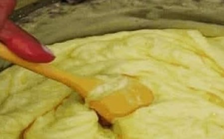 Homemade Cheese with Milk and Vinegar