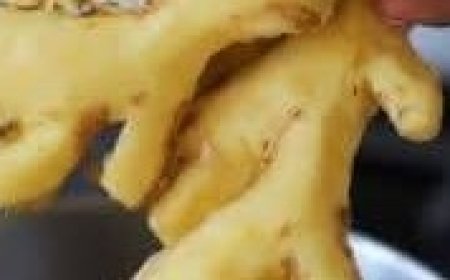 Ginger Tea: A Simple Remedy for Health and Wellness
