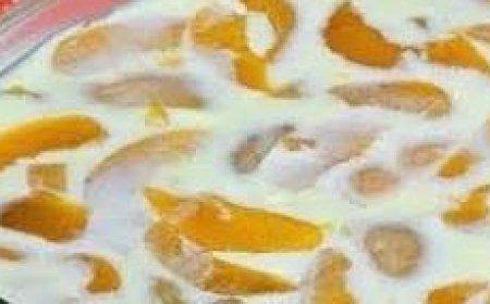 Simple and creamy dessert: Practical no-bake recipe perfect for the holidays