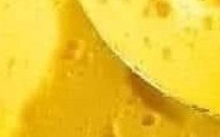 Golden Fluffy Mango Mousse