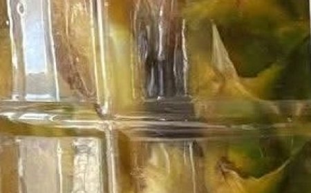 Homemade Fermented Pineapple Drink Recipe