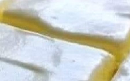 ???????????????? ???????????????????????? ???????????????????????????? ???????????????? ???????????? ???????????????????? ???????? ???????????????? ????????????