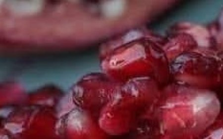 Pomegranate Herb Salad