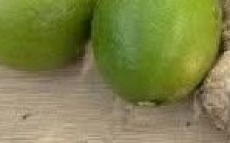 Boost Your Vitality Naturally with Ginger, Garlic, Lemon, and Honey: A Must-Try Drink for Men