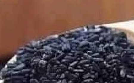 Black seed and honey to boost immunity and healing