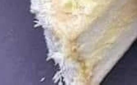 Cake Recipe Ready in Just 5 Minutes