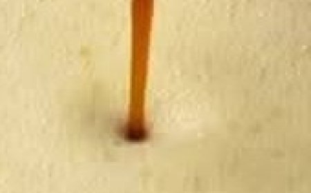 Vanilla Egg Custard (Steamed)