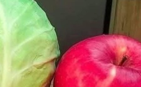 Weight-Loss Friendly Coleslaw Recipe