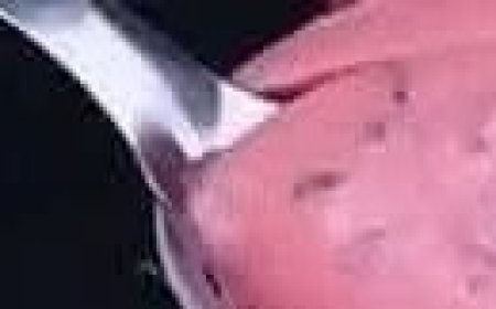 Delicious Creamy Strawberry Dessert