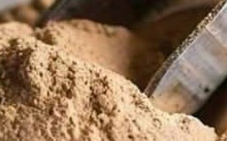 Homemade Nutritious Protein Powder