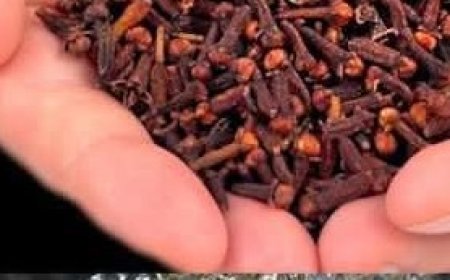 Clove Tea: A Healthy Drink with Amazing Benefits to Improve Your Health
